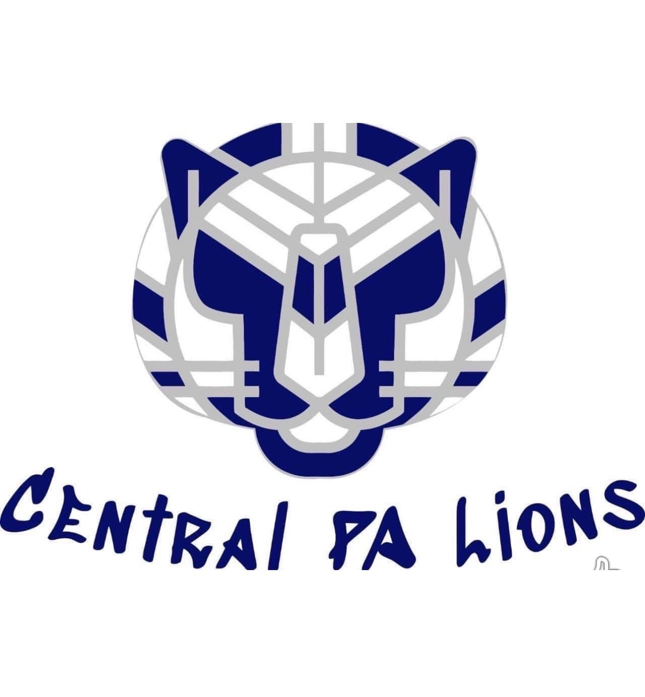 Lions team